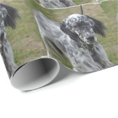 Papier Cadeau Poseur anglais noir et blanc adorable (Coin rond)