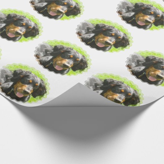 Papier Cadeau Poseur de Gordon (Coin)