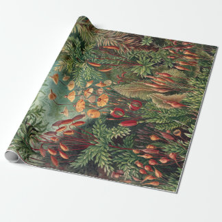 Papier Cadeau Poster d'Ernst Haeckel Moss Vintage