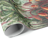 Papier Cadeau Poster d'Ernst Haeckel Moss Vintage (Coin rond)