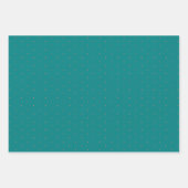 Papier cadeau Pot Polka Coral turquoise (Devant 3)