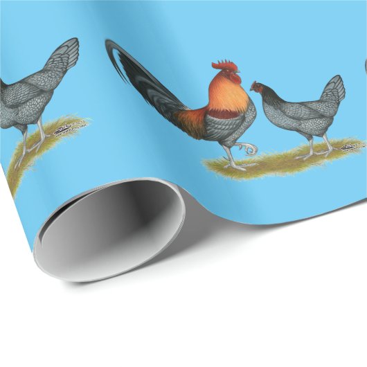 Papier Cadeau Poule bleue du Delaware (Coin rond)