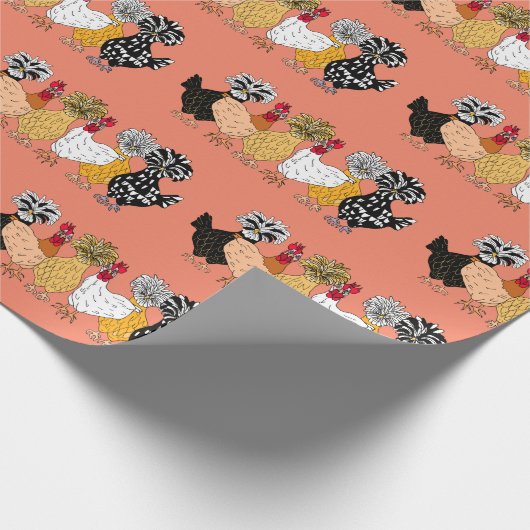 Papier Cadeau Poulets amusants et poulets polonais (Coin)