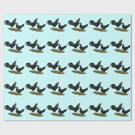 Papier Cadeau Poulets Augsburger (Plat)