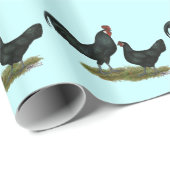 Papier Cadeau Poulets Augsburger (Coin rond)