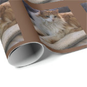 Papier Cadeau Poupée de sac Orange et blanc Chat à cheveux longs (Coin rond)