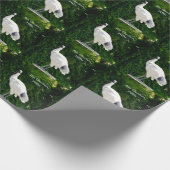 Papier Cadeau Pour Poulets (Ibis) (Coin)