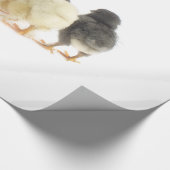 Papier Cadeau poussins moelleux (Coin)