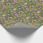 Papier Cadeau Pré fleur sauvage coloré, motif vibrant. (Coin)