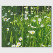 Papier Cadeau pré fleuri (Plat)