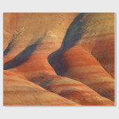 Papier Cadeau Préhistorique (Plat)