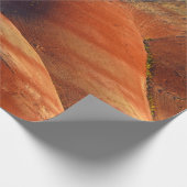 Papier Cadeau Préhistorique (Coin)