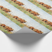 Papier Cadeau Prêt Pour Le Travail, Deux Chevaux De Brouillon (Coin)