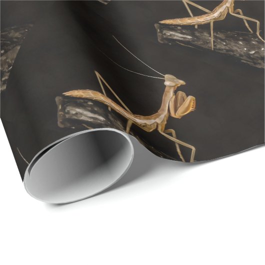 Papier Cadeau Prière Mantis Belle Et Déplaisante Insecte Art (Coin rond)