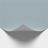 Papier Cadeau Prime bleu gris (Coin)