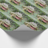 Papier cadeau Prince Grenouille (Coin)