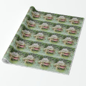 Papier cadeau Prince Grenouille (Déroulé)