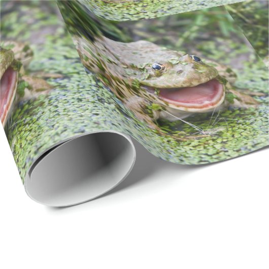 Papier cadeau Prince Grenouille (Coin rond)