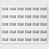 Papier Cadeau Printemps (Plat)