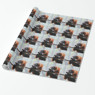 Papier Cadeau Produit de personnaliser