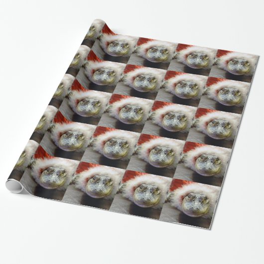 Papier Cadeau Produits de vacances d'alligator (Déroulé)