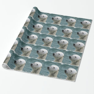 Papier Cadeau Profil d'ours blanc