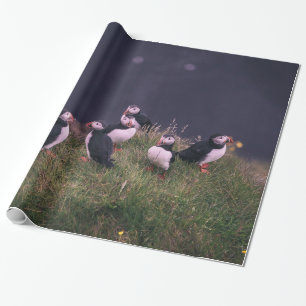 Papier Cadeau Puffins de l'Atlantique