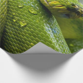 Papier Cadeau Python (Coin)