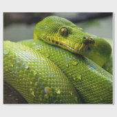 Papier Cadeau Python (Plat)