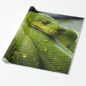 Papier Cadeau Python (Déroulé)