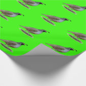 Papier Cadeau Quail de la Californie (Coin)