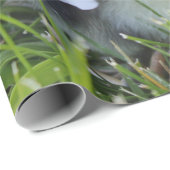 Papier Cadeau Quatre noirs et poussins jaunes de poulet de bébé (Coin rond)