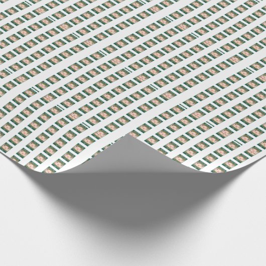 Papier Cadeau Quel Elfe (Coin)