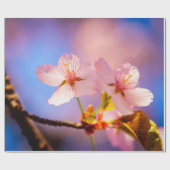 Papier Cadeau Quelques Fleurs Sakura (Plat)