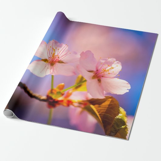 Papier Cadeau Quelques Fleurs Sakura (Déroulé)