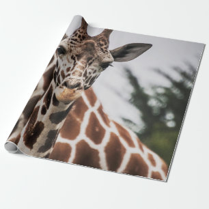 PAPIER CADEAU QUELQU'UN ME REGARDE