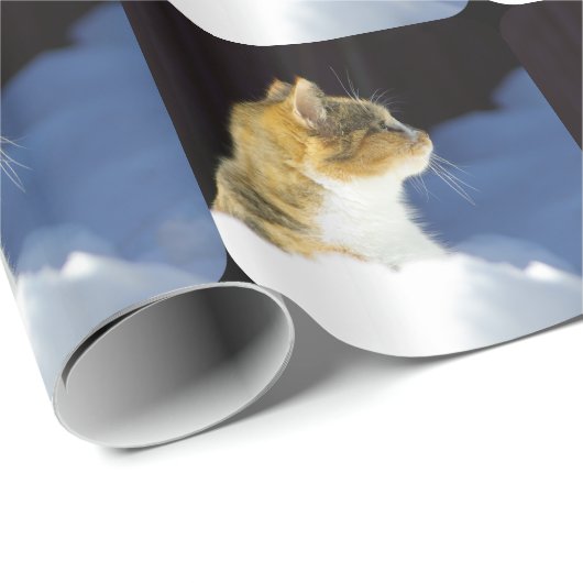 Papier Cadeau Qu'est ? (Coin rond)