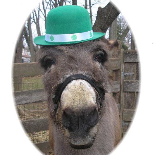 Papier Cadeau "Qu'est-ce que le Big Deal ?"