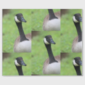 Papier Cadeau Quoi (Plat)