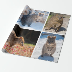 Papier Cadeau Quokka heureux et mignon de l'Australie