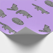 Papier Cadeau Raccoons (Coin)