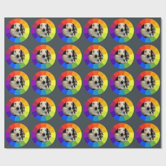 Papier Cadeau Rainbow Color Wheel (Plat)