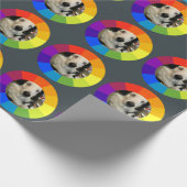 Papier Cadeau Rainbow Color Wheel (Coin)