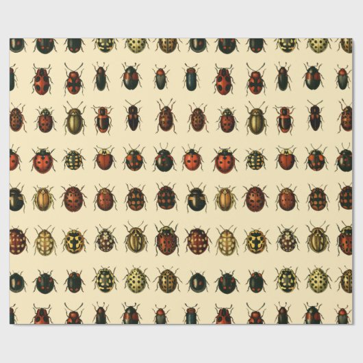 Papier Cadeau Rangée de coccinelles (Plat)