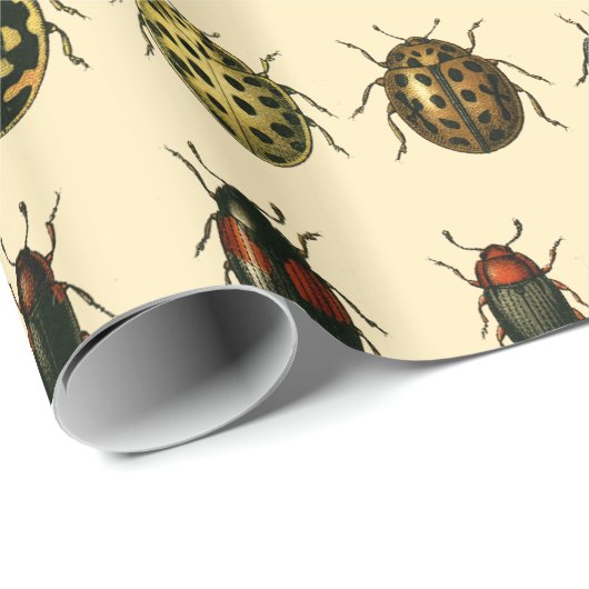 Papier Cadeau Rangée de coccinelles (Coin rond)