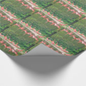 Papier Cadeau Rangée de Flamant rose au lac au printemps, Oiseau (Coin)