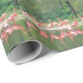 Papier Cadeau Rangée de Flamant rose au lac au printemps, Oiseau (Coin rond)