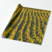 Papier Cadeau Rangées de tournesol (Déroulé)