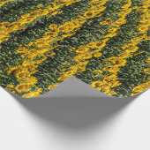 Papier Cadeau Rangées de tournesol (Coin)