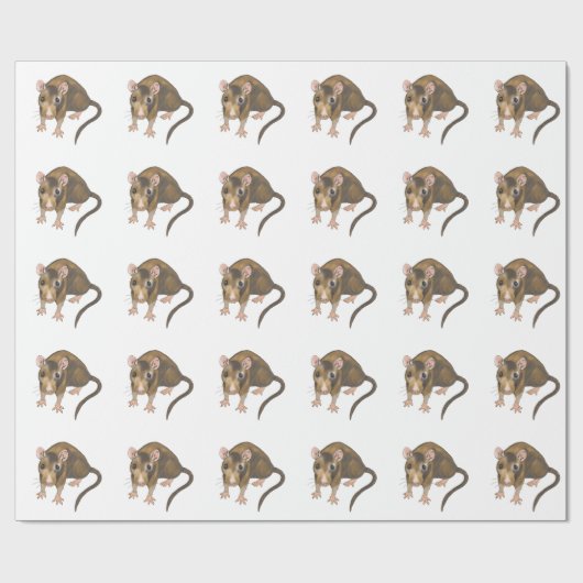 Papier Cadeau Rat (Plat)